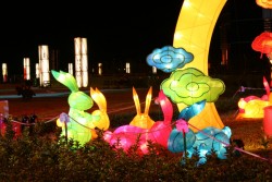 IMG_7844.JPG