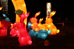 IMG_7845.JPG