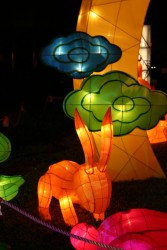IMG_7860.JPG