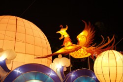 IMG_7912.jpg