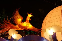IMG_7918.jpg