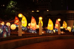 IMG_7926.jpg