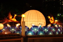 IMG_7928.jpg