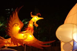 IMG_7933.jpg