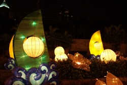 IMG_7944.jpg