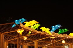 IMG_7953.jpg