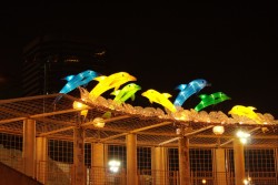 IMG_7956.jpg