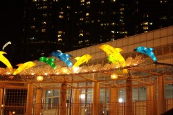 IMG_7957.jpg