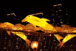 IMG_7960.jpg