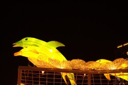 IMG_7962.jpg