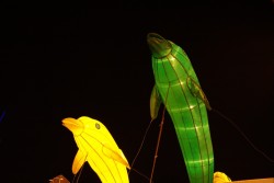 IMG_7963.jpg