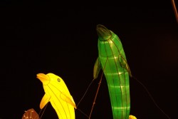 IMG_7965.jpg
