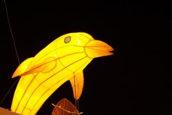 IMG_7966.jpg