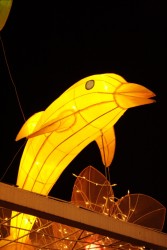 IMG_7967.jpg