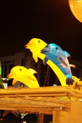 IMG_7968.jpg