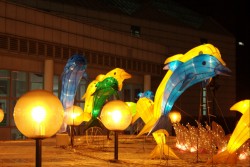 IMG_7970.jpg