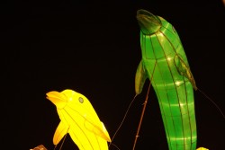 IMG_7979.jpg