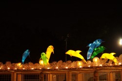 IMG_7980.jpg