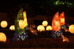 IMG_7985.jpg