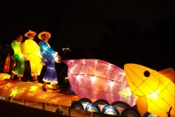 IMG_7991.jpg
