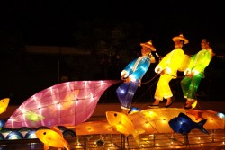IMG_7994.jpg