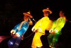 IMG_7995.jpg