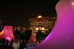 IMG_8203.JPG