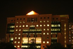 IMG_8231.JPG