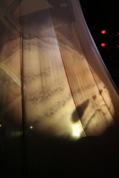 IMG_8255.JPG