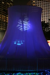 IMG_8261.JPG