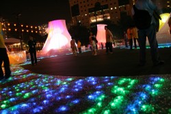 IMG_8313.JPG