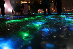 IMG_8315.JPG