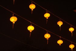 IMG_8119.jpg