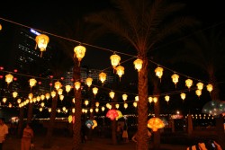 IMG_8275.JPG