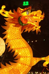 IMG_8094.jpg