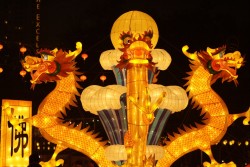 IMG_8099.jpg