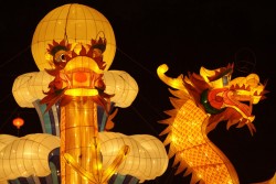 IMG_8100.jpg