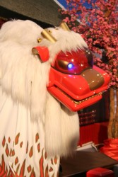 IMG_2971.JPG