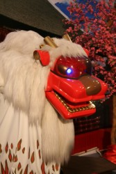 IMG_2972.JPG