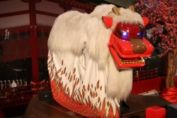 IMG_2973.JPG