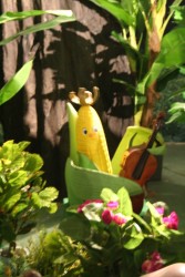 IMG_2989.JPG