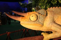 IMG_2997.JPG