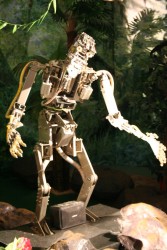 IMG_3004.JPG