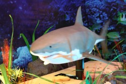 IMG_3029.JPG