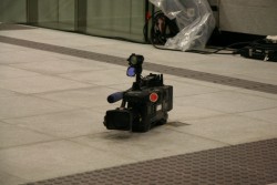 IMG_1881
