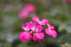 IMG_5439.jpg