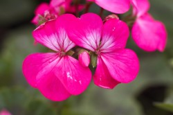 IMG_5442.jpg