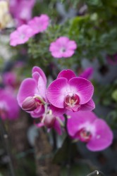 IMG_5448.jpg
