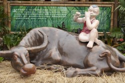 IMG_5461.jpg
