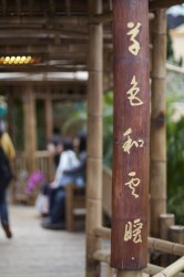 IMG_5464.jpg